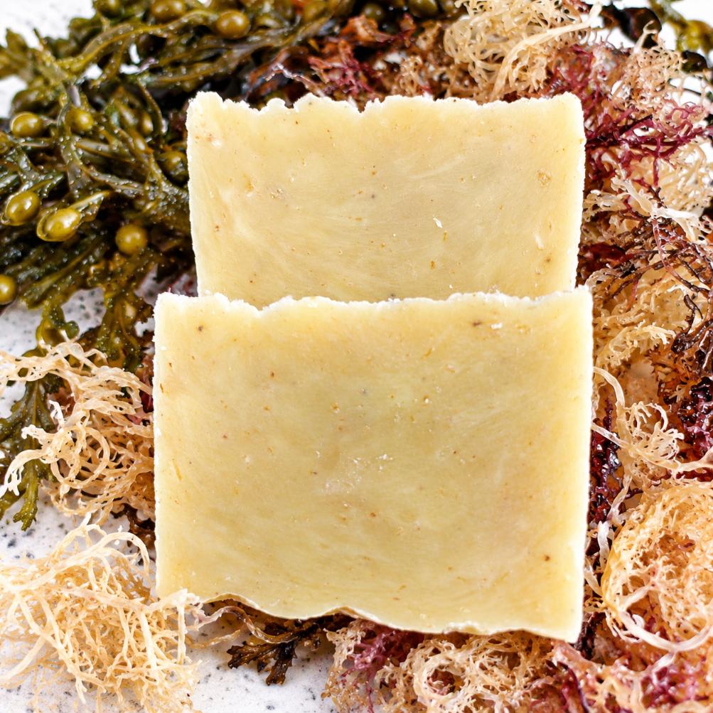 Irish Moss Soap